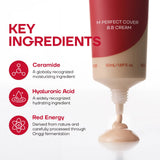 MISSHA Perfect Cover BB Cream PRO #17 Fair 20 ml