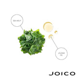JOICO Balsam par deteriorat, rupt si uscat, 50 ml