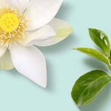 RITUALS Cadou mediu The Ritual of Karma 2025