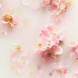 RITUALS Discovery set the Ritual of Sakura