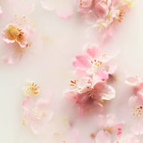 RITUALS Cadou mic Sakura